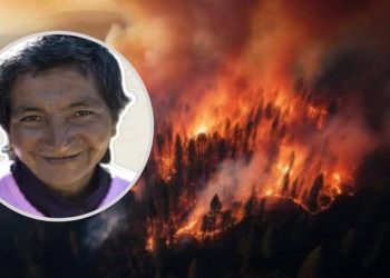 Corte Suprema resolverá recurso presentado por defensa de presunta autora de incendio forestal en Los Sauces