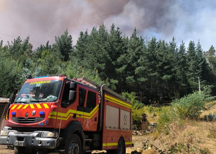 Autoridades piden evacuar en Traiguén por inminente llegada de fuego desde incendio de Galvarino