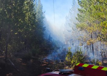 Incendio forestal en cerro Coiquén en Quirihue afectó antenas de telefonía celular e internet