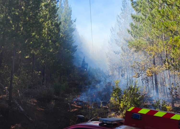 Incendio forestal en cerro Coiquén en Quirihue afectó antenas de telefonía celular e internet