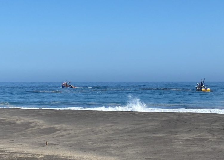 Consejero regional Wilson Ponce solicitó mayor fiscalización a pesqueros en Cobquecura