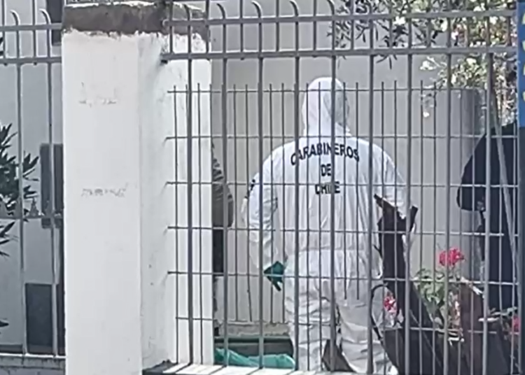 Encuentran a hijo de actriz Lorene Prieto con sus manos amputadas en Ñuñoa