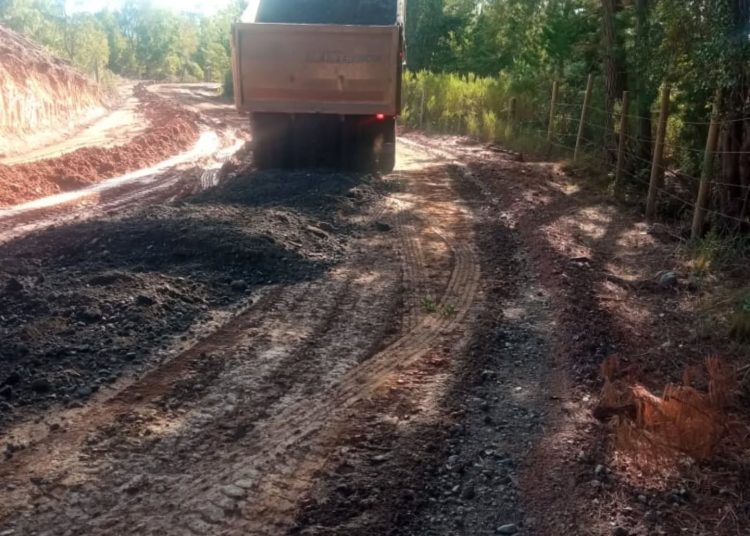 Municipio de Quirihue gestionó trabajos urgentes en camino Las Cardillas a Salamanca