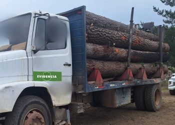 Carabineros OS9 Ñuble detuvo a una persona por robo de madera en Portezuelo y a otros dos por amenazas a personal policial