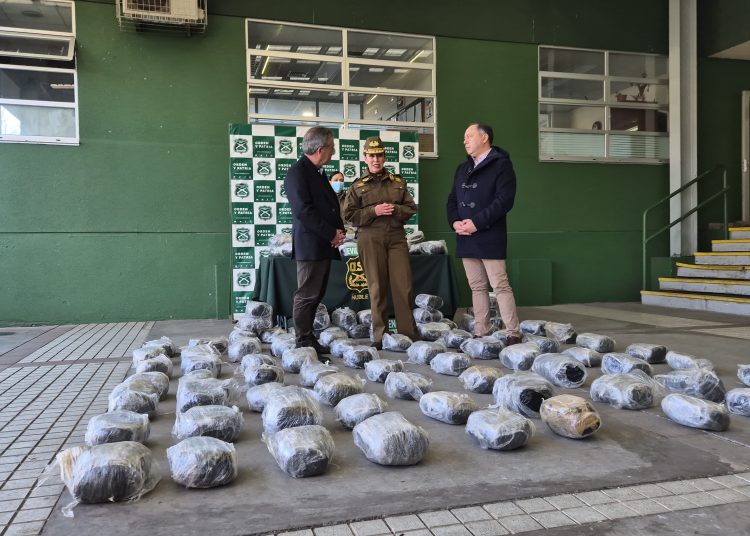 Carabineros incauta más de mil millones en marihuana en San Carlos que venía a la región de Ñuble