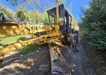 Operador de maquinaria «motoniveladora» fallece en accidente en Ránquil