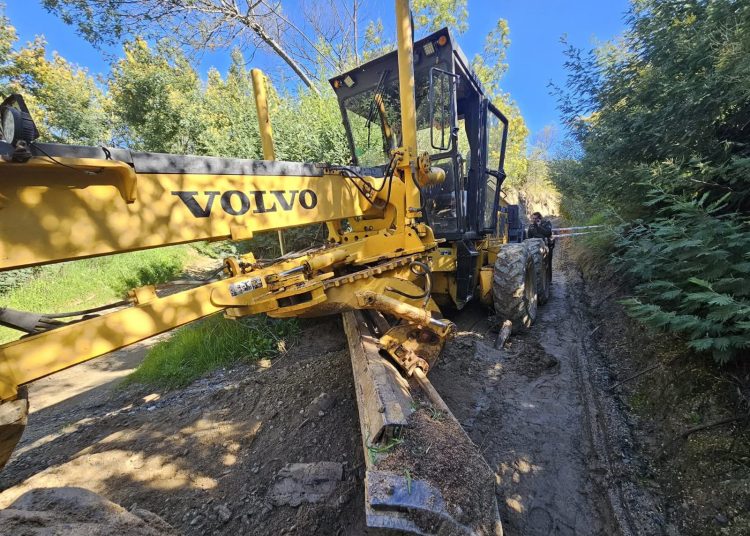 Operador de maquinaria «motoniveladora» fallece en accidente en Ránquil