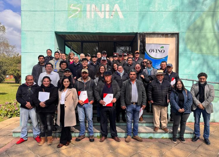 Productores ovinos de San Nicolás, Ninhue y Quirihue son beneficiados con innovador proyecto de GORE Ñuble