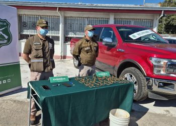 Fiscalía y Carabineros de Sebv de Ñuble recuperan en Chillán vehículo robado en Temuco