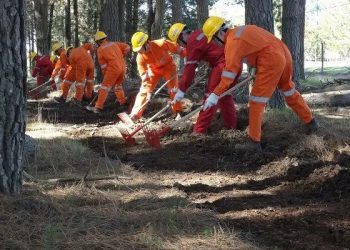 Carrera Técnico Forestal del Liceo Bicentenario de Quirihue obtiene premio nacional de CORMA