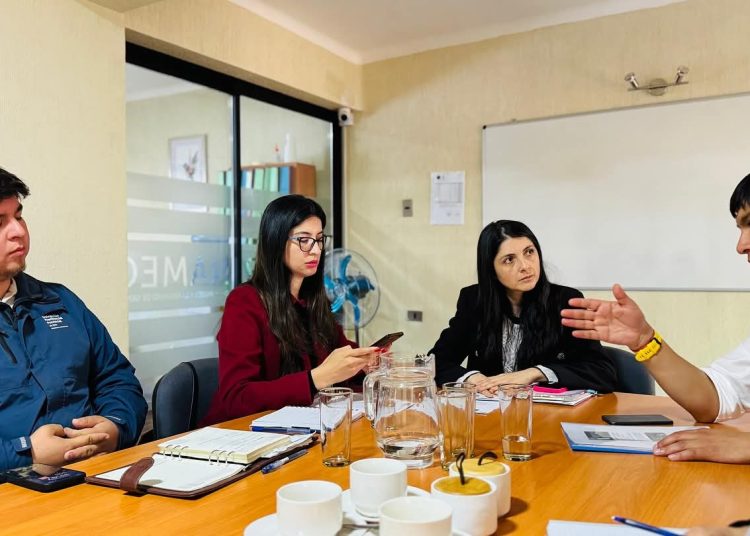 Alcalde de Ránquil solicitó crear Centro Integral de Protección a la Mujer en su comuna