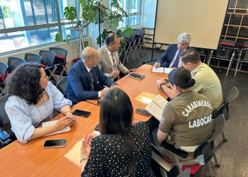 Fiscalía de Ñuble coordina trabajo con Carabineros y PDI debido a mayor riesgo de incendios forestales