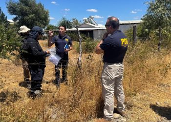 PDI Ñuble investiga causa de incendio forestal ocurrido en San Nicolás que destruyó 9 viviendas