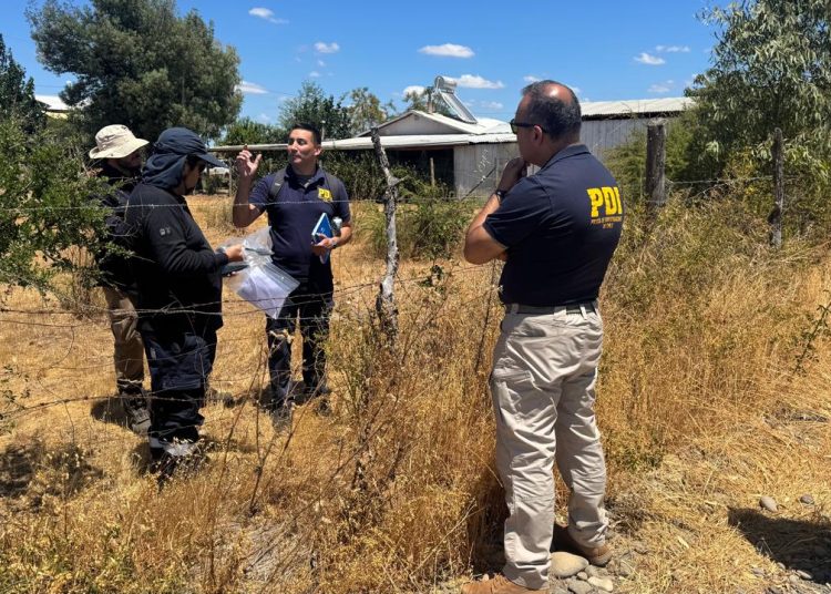 PDI Ñuble investiga causa de incendio forestal ocurrido en San Nicolás que destruyó 9 viviendas