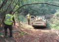 Carabineros fiscaliza faena forestal que tenía prohibición en Ránquil