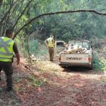 Carabineros fiscaliza faena forestal que tenía prohibición en Ránquil