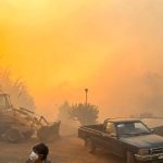 Este sábado comienza entrega de bonos a través del Comité de Ayudas Tempranas