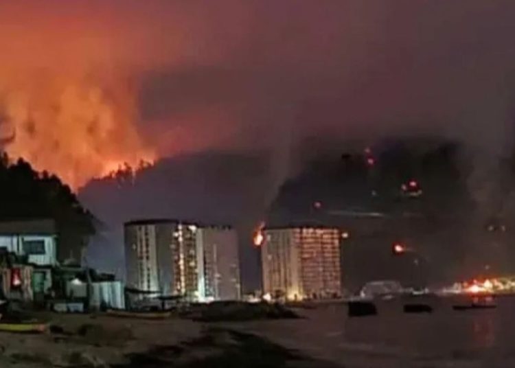 Megaincendio en Concepción, Penco y Tomé había sido advertido por CONAF a empresas forestales