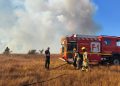 Incendio en Ninhue ha destruido 225 hectáreas de bosques, matorrales y bosque nativo