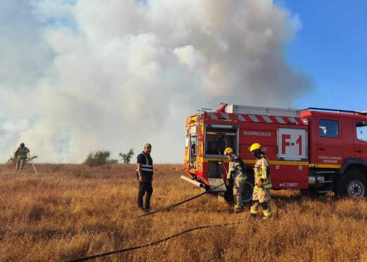 Incendio en Ninhue ha destruido 225 hectáreas de bosques, matorrales y bosque nativo