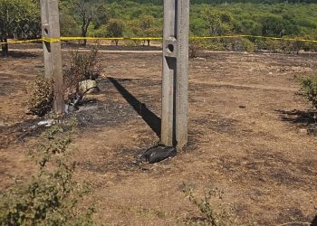 Alcalde de Ninhue: «Un jote que se electrocutó habría originado el incendio en Coroney»
