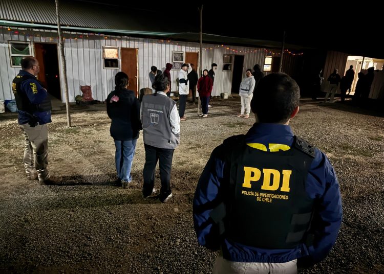 Fiscalización migratoria y sanitaria en Coihueco detectó distintas irregularidades