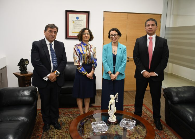 Paulina Gallardo García asume presidencia de Corte de Apelaciones de Chillán para el año judicial 2026